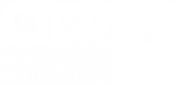 British Parking Association Logo